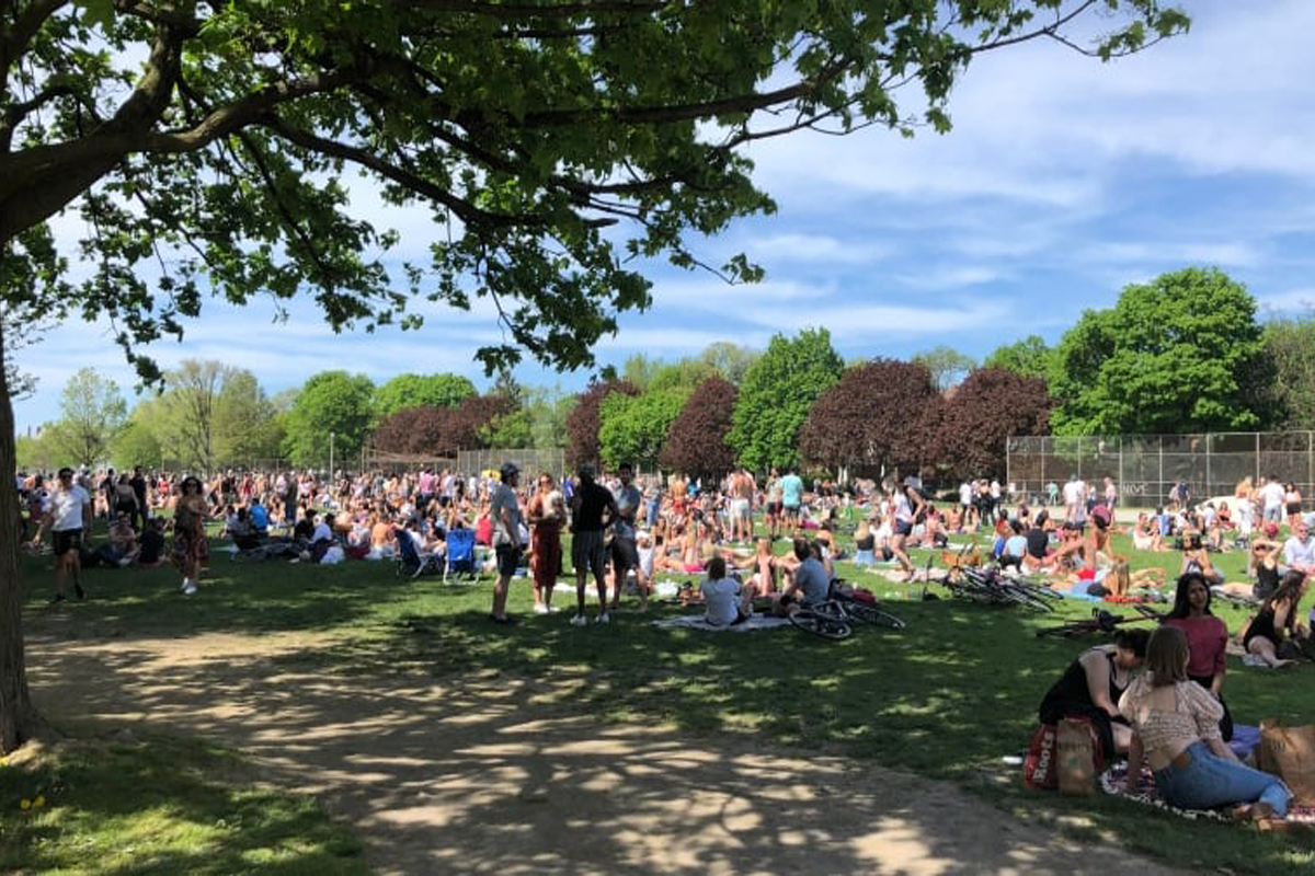 Toronto’s Trinity Bellwoods Park filled with people on one of the first warm weekends of the year (credit: Beatrice Vaisman)